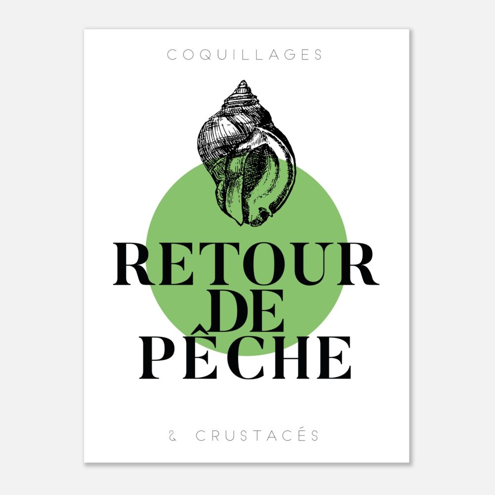 Bulot Vert - Retour de Pêche