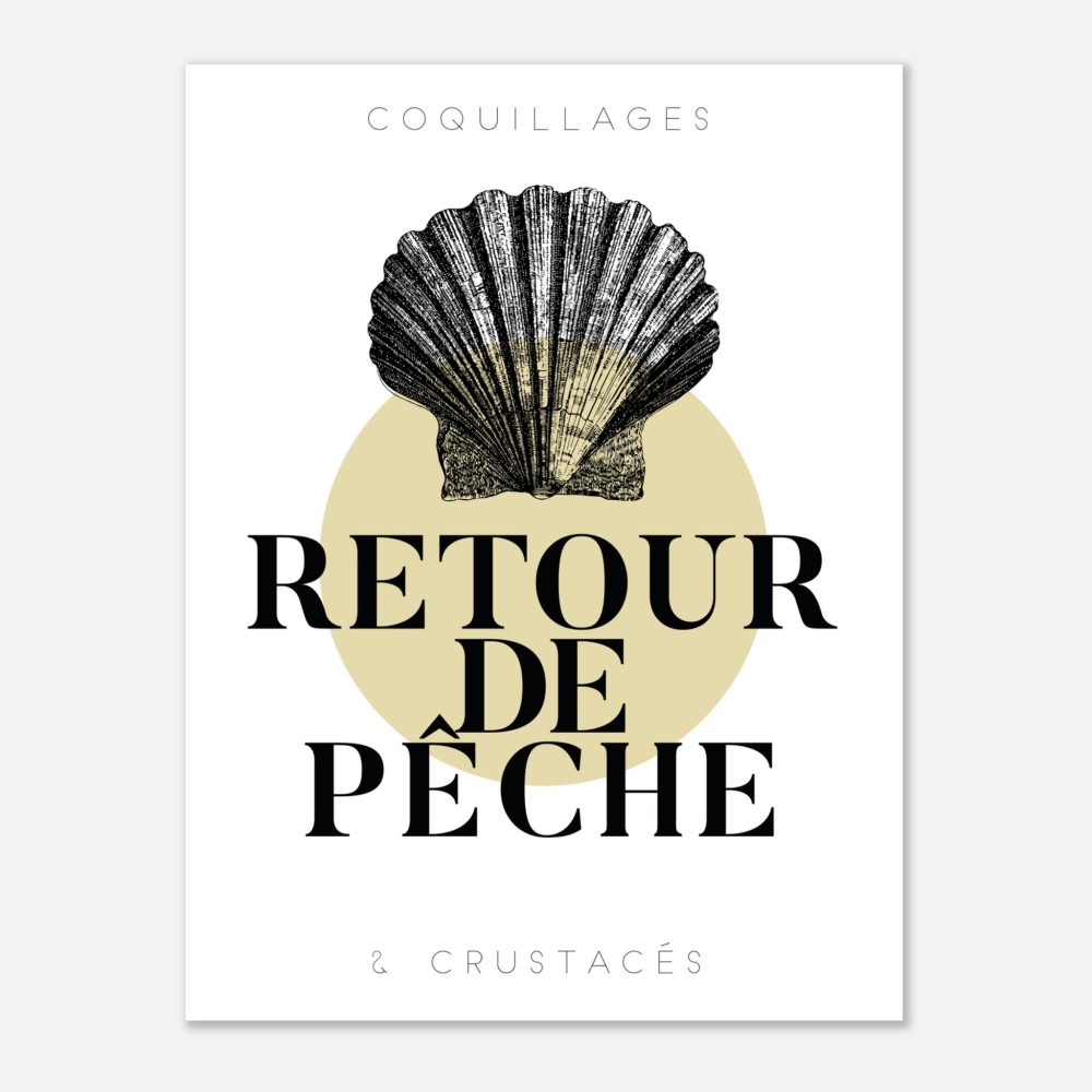 Coquille Saint-Jacques - Retour de Pêche