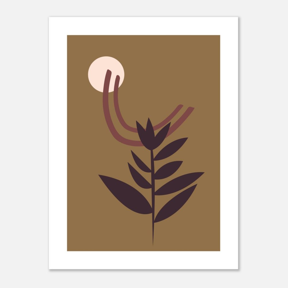 Plante Solaire