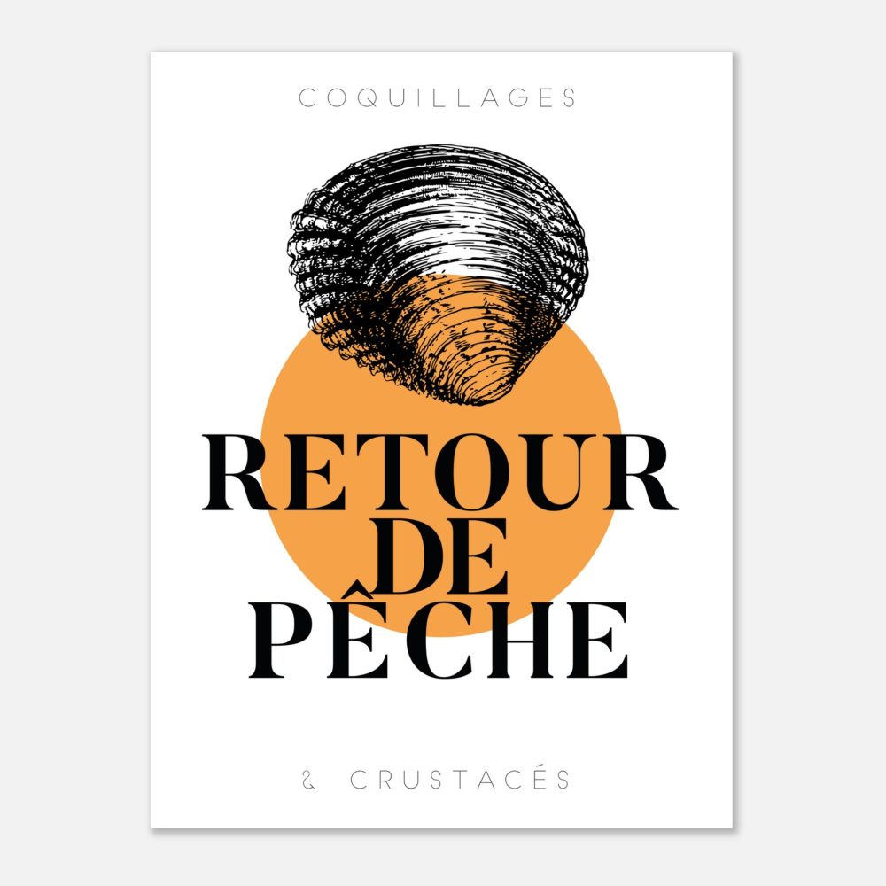Coquillage des Sables - Retour de Pêche