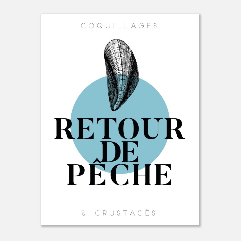 Moule Bleue - Retour De Pêche