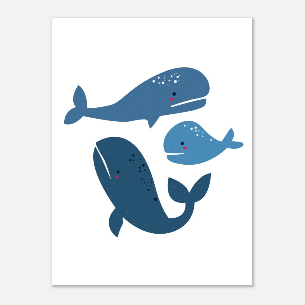 Affiche de 3 Baleines Bleues