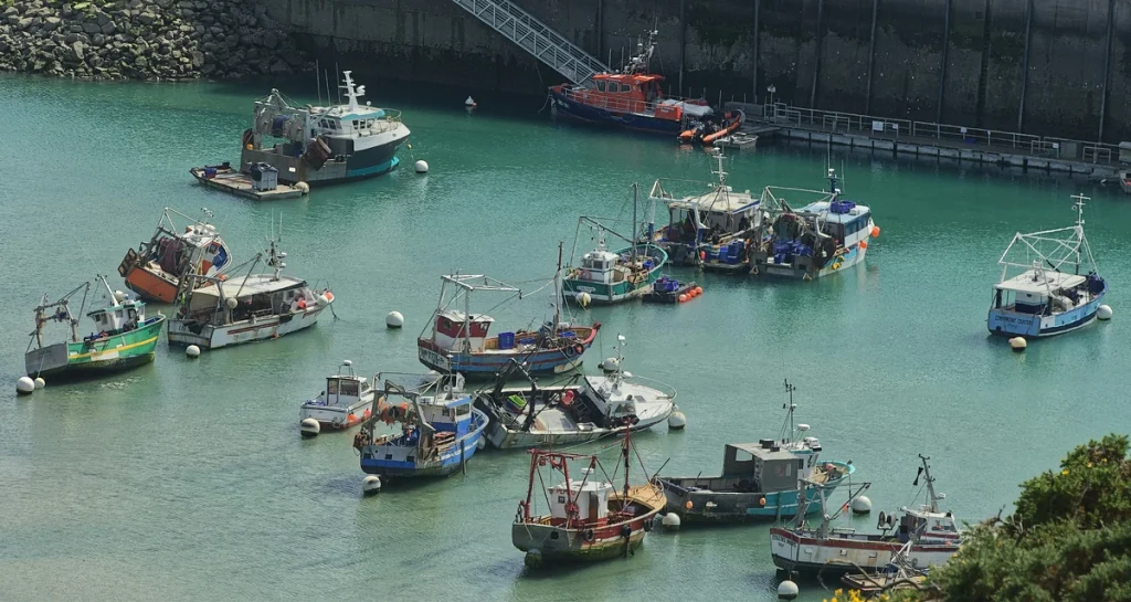 Port breton avec bateaux de pêche colorés et paysage côtier